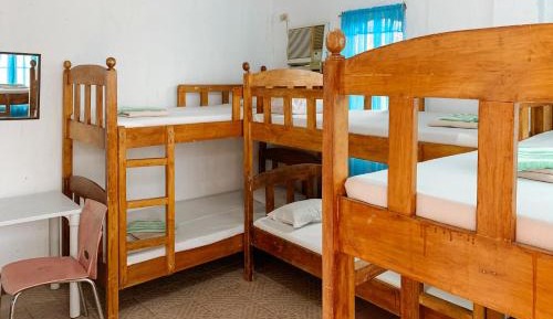 6-Bed Mixed Dormitory Room