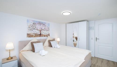 Budget Single Room