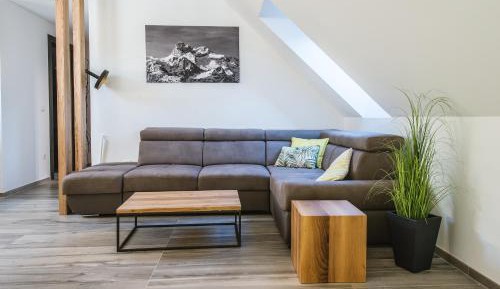 One-Bedroom Apartment with Lake View
