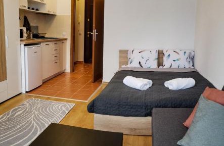 Studio with Terrace