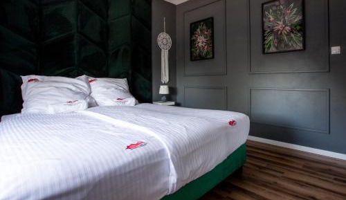 Two-Bedroom Deluxe Apartment