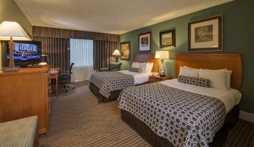 Standard Room - Two double beds