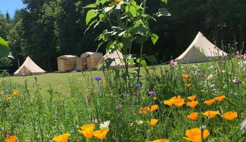 Tent