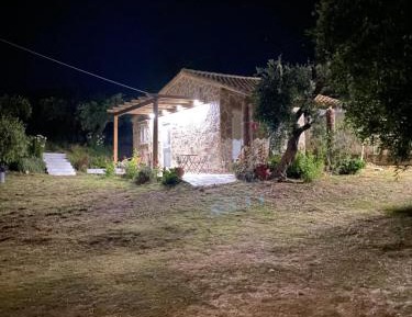 Standard Villa
