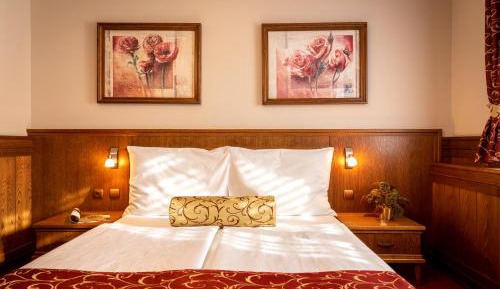 Premium Double Room with air condition 