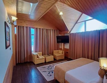 Double Room with Mountain View