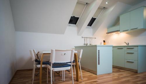One-Bedroom Apartment (4-5 Adults)