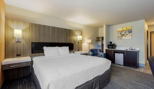 King Room with Sofa Bed and Wet Bar