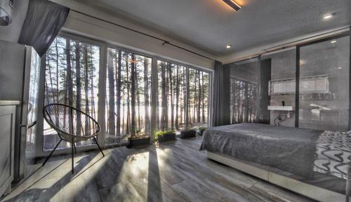 Studio with Lake View