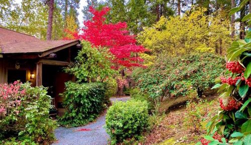 Cabin with Queen Bed and River View