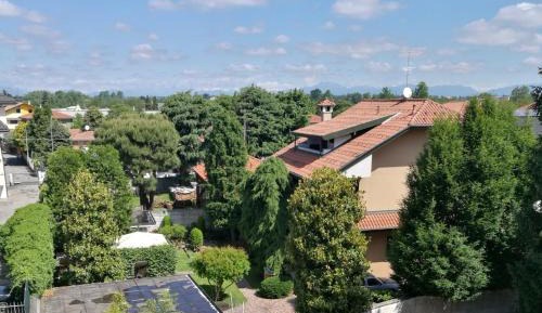 Basic Triple Room with Shared Bathroom