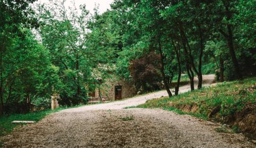 Apartment with Terrace