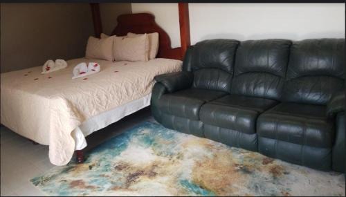 King Room with Pool View