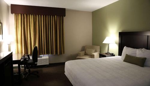 Standard King Room - Non-Smoking 