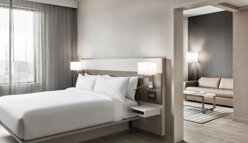 1 Bedroom Suite, 1 King, Sofa bed