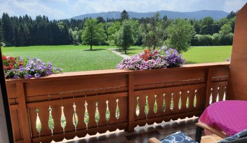 Double Room with Balcony