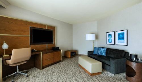 Executive Room, Larger Guest room, 1 King, Sofa bed