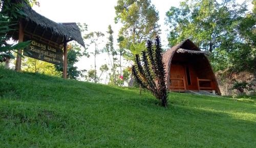 Deluxe Bungalow with Garden View