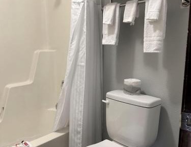 Deluxe Double Room (2 Adults + 1 Child)