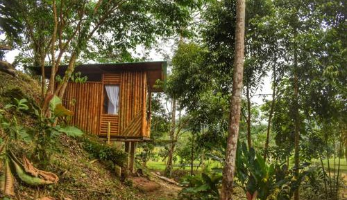 Double Room with Lake View