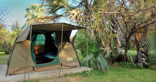 Tent
