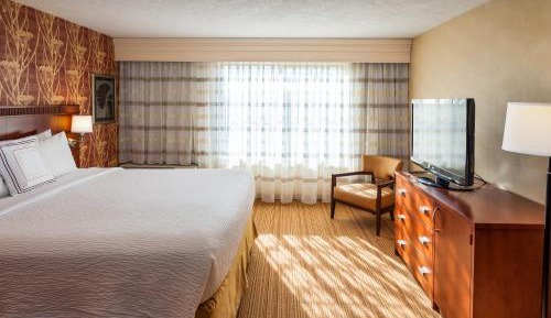 King Room with Sofa Bed