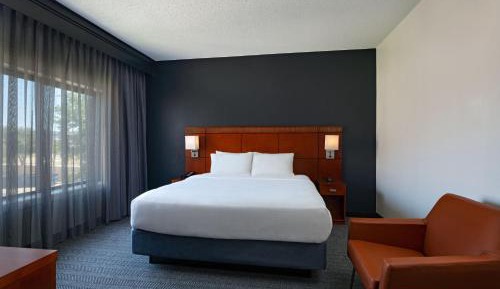 One-Bedroom Suite with 1 King Bed and Sofa Bed