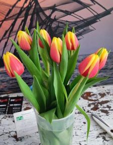 Mixed Dormitory Room