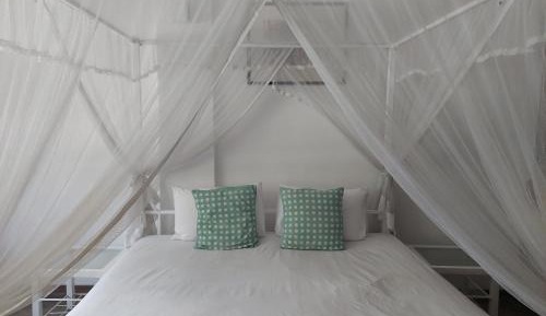 King Room with Garden View