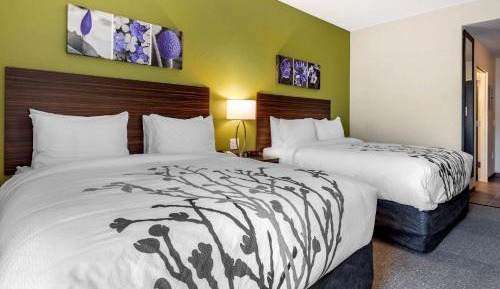 Standard Queen Room with Two Queen Beds - Non Smoking