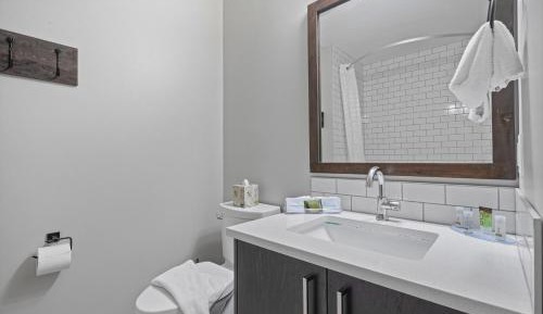 King Room - Pet Friendly