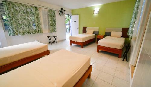 Single Bed in 4-Bed Dormitory Room