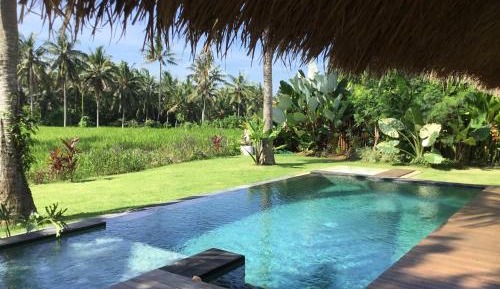 One-Bedroom Villa