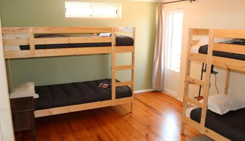 Bunk Bed in Mixed Dormitory Room