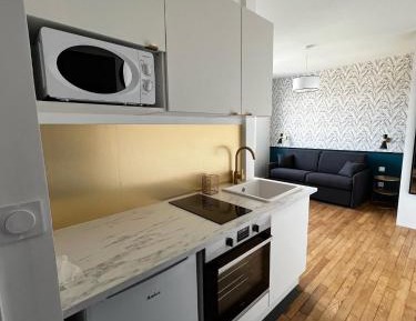 Studio Apartment