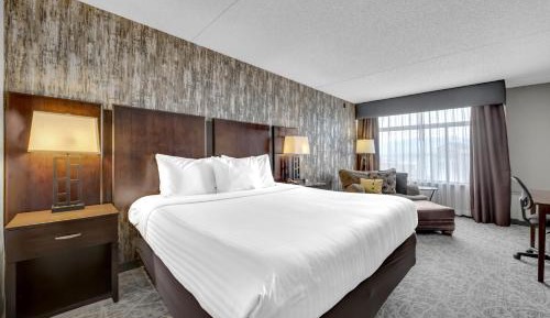 Deluxe King Room - No pets