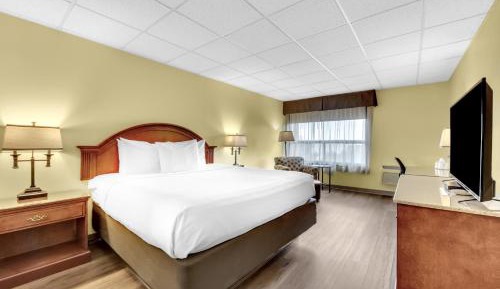 King Room - Pet Friendly