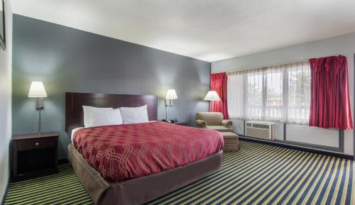 Large Single Room