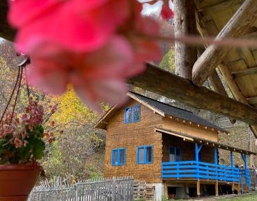 One-Bedroom Chalet