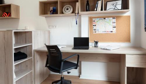 Basic Single Room