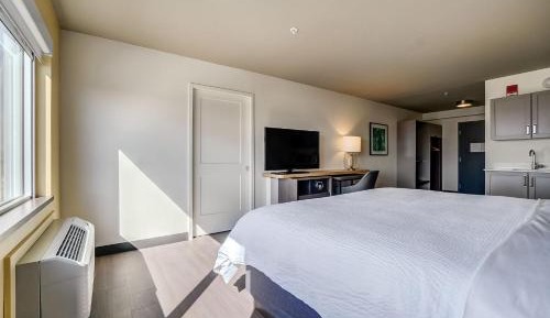 One-Bedroom Suite with Sofa Bed