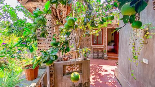 Double Room with Terrace