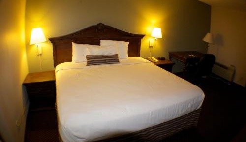  King Room 