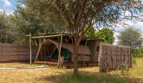Standard Tent