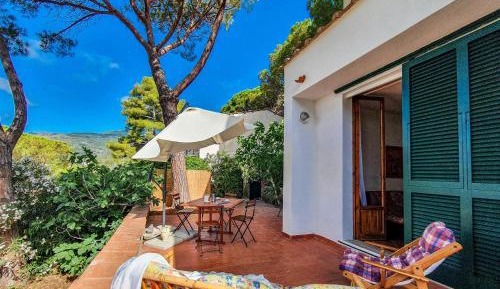 Two-Bedroom Superior Apartment