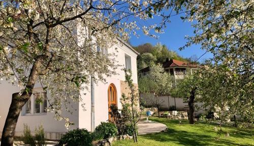 Apartment with Mountain View