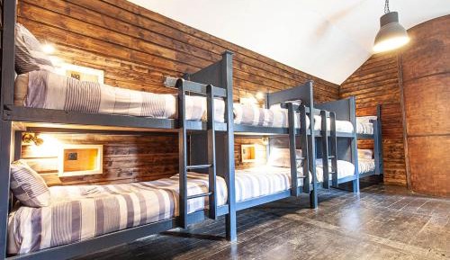 Bed in 10-Bed Mixed Dormitory Room