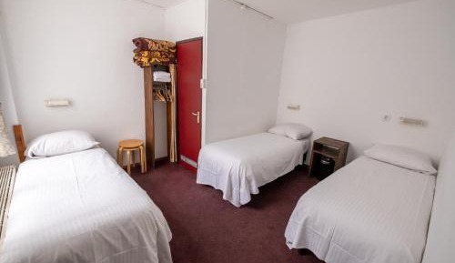 Basic Triple Room