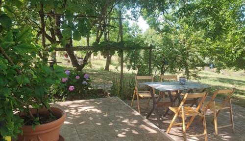 Family Room with Garden View