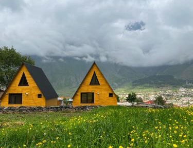 Apartment with Mountain View